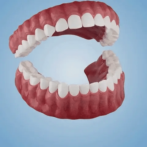 Ends Today: Limited-Time Savings — YAGOO™ Custom-Fit Dentures for a Confident Smile